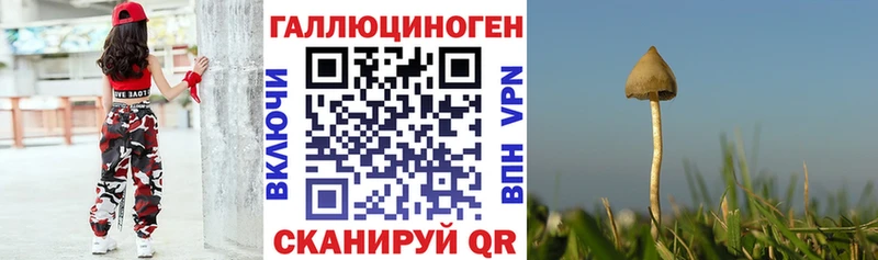 купить   блэк спрут сайт  Псилоцибиновые грибы GOLDEN TEACHER  Суджа 